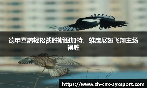 爱游戏体育